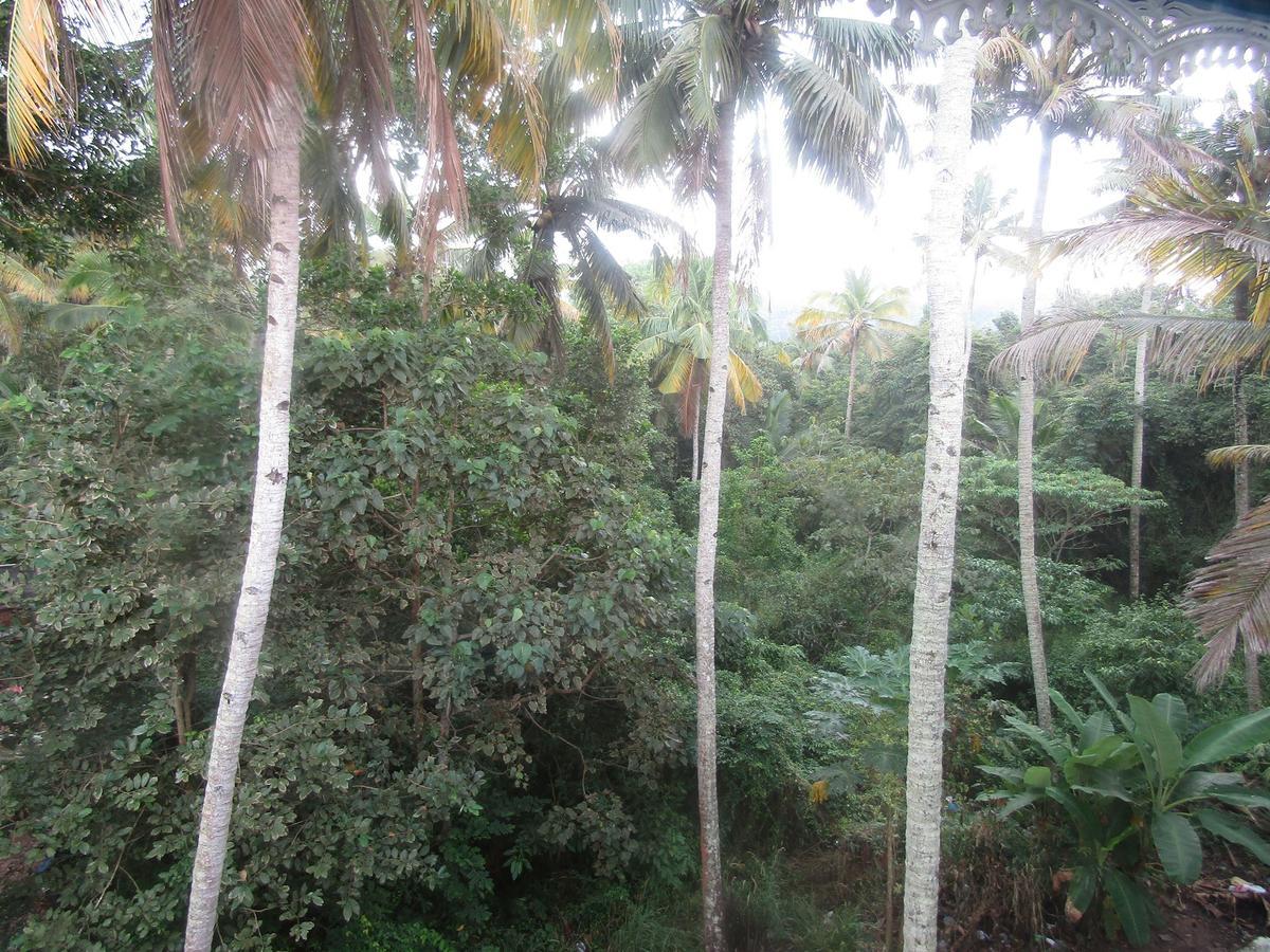 Blue Wave Resort Varkala Exterior foto
